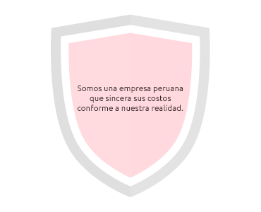 GZ Seguridad Costos